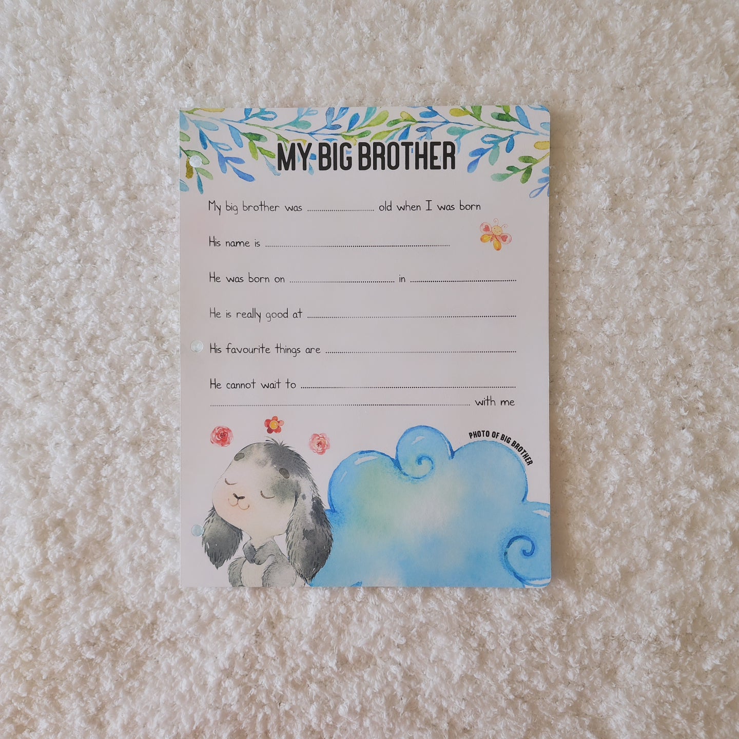 My Big Brother